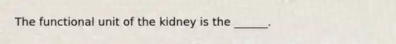 The functional unit of the kidney is the ______.