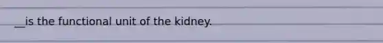 __is the functional unit of the kidney.