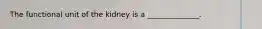 The functional unit of the kidney is a ______________.