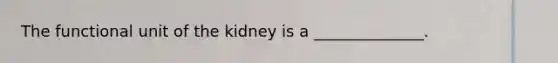 The functional unit of the kidney is a ______________.