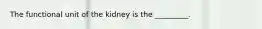 The functional unit of the kidney is the _________.