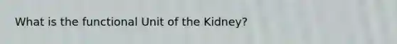 What is the functional Unit of the Kidney?