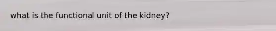 what is the functional unit of the kidney?