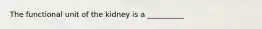 The functional unit of the kidney is a __________