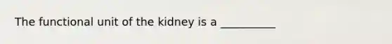 The functional unit of the kidney is a __________