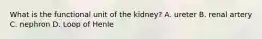 What is the functional unit of the kidney? A. ureter B. renal artery C. nephron D. Loop of Henle