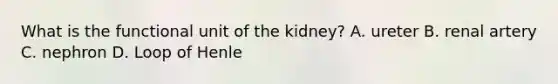 What is the functional unit of the kidney? A. ureter B. renal artery C. nephron D. Loop of Henle