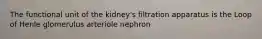 The functional unit of the kidney's filtration apparatus is the Loop of Henle glomerulus arteriole nephron