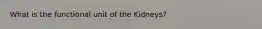 What is the functional unit of the Kidneys?