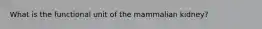 What is the functional unit of the mammalian kidney?