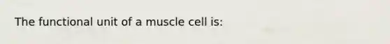 The functional unit of a muscle cell is: