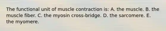 The functional unit of muscle contraction is: A. the muscle. B. the muscle fiber. C. the myosin cross-bridge. D. the sarcomere. E. the myomere.