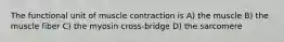 The functional unit of muscle contraction is A) the muscle B) the muscle fiber C) the myosin cross-bridge D) the sarcomere