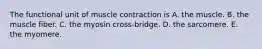 The functional unit of muscle contraction is A. the muscle. B. the muscle fiber. C. the myosin cross-bridge. D. the sarcomere. E. the myomere.