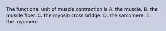 The functional unit of muscle contraction is A. the muscle. B. the muscle fiber. C. the myosin cross-bridge. D. the sarcomere. E. the myomere.