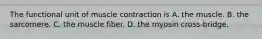 The functional unit of muscle contraction is A. the muscle. B. the sarcomere. C. the muscle fiber. D. the myosin cross-bridge.