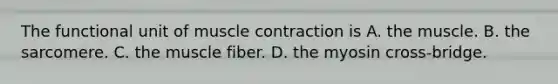 The functional unit of muscle contraction is A. the muscle. B. the sarcomere. C. the muscle fiber. D. the myosin cross-bridge.