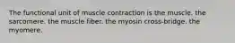 The functional unit of muscle contraction is the muscle. the sarcomere. the muscle fiber. the myosin cross-bridge. the myomere.