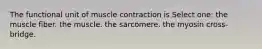 The functional unit of muscle contraction is Select one: the muscle fiber. the muscle. the sarcomere. the myosin cross-bridge.