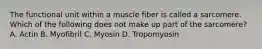 The functional unit within a muscle fiber is called a sarcomere. Which of the following does not make up part of the sarcomere? A. Actin B. Myofibril C. Myosin D. Tropomyosin