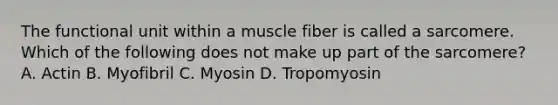 The functional unit within a muscle fiber is called a sarcomere. Which of the following does not make up part of the sarcomere? A. Actin B. Myofibril C. Myosin D. Tropomyosin