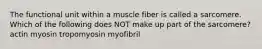 The functional unit within a muscle fiber is called a sarcomere. Which of the following does NOT make up part of the sarcomere? actin myosin tropomyosin myofibril