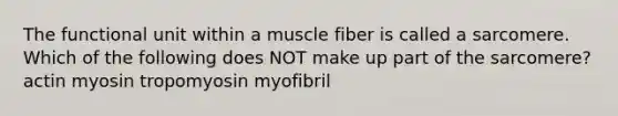 The functional unit within a muscle fiber is called a sarcomere. Which of the following does NOT make up part of the sarcomere? actin myosin tropomyosin myofibril