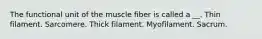 The functional unit of the muscle fiber is called a __. Thin filament. Sarcomere. Thick filament. Myofilament. Sacrum.