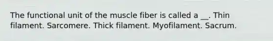 The functional unit of the muscle fiber is called a __. Thin filament. Sarcomere. Thick filament. Myofilament. Sacrum.