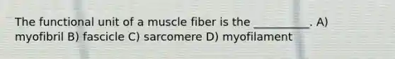 The functional unit of a muscle fiber is the __________. A) myofibril B) fascicle C) sarcomere D) myofilament