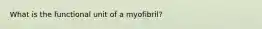 What is the functional unit of a myofibril?