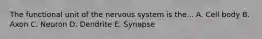 The functional unit of the nervous system is the... A. Cell body B. Axon C. Neuron D. Dendrite E. Synapse