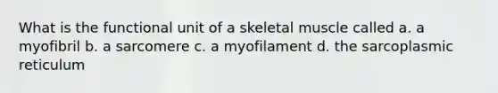 What is the functional unit of a skeletal muscle called a. a myofibril b. a sarcomere c. a myofilament d. the sarcoplasmic reticulum