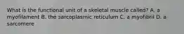 What is the functional unit of a skeletal muscle called? A. a myofilament B. the sarcoplasmic reticulum C. a myofibril D. a sarcomere