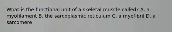 What is the functional unit of a skeletal muscle called? A. a myofilament B. the sarcoplasmic reticulum C. a myofibril D. a sarcomere