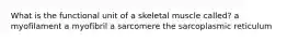 What is the functional unit of a skeletal muscle called? a myofilament a myofibril a sarcomere the sarcoplasmic reticulum