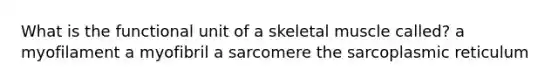 What is the functional unit of a skeletal muscle called? a myofilament a myofibril a sarcomere the sarcoplasmic reticulum