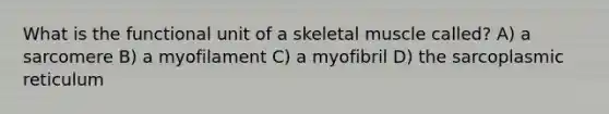 What is the functional unit of a skeletal muscle called? A) a sarcomere B) a myofilament C) a myofibril D) the sarcoplasmic reticulum