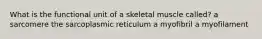 What is the functional unit of a skeletal muscle called? a sarcomere the sarcoplasmic reticulum a myofibril a myofilament