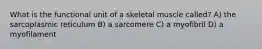 What is the functional unit of a skeletal muscle called? A) the sarcoplasmic reticulum B) a sarcomere C) a myofibril D) a myofilament