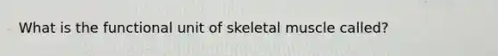 What is the functional unit of skeletal muscle called?