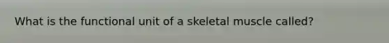 What is the functional unit of a skeletal muscle called?