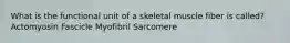 What is the functional unit of a skeletal muscle fiber is called? Actomyosin Fascicle Myofibril Sarcomere