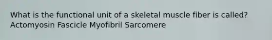 What is the functional unit of a skeletal muscle fiber is called? Actomyosin Fascicle Myofibril Sarcomere