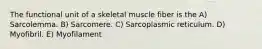 The functional unit of a skeletal muscle fiber is the A) Sarcolemma. B) Sarcomere. C) Sarcoplasmic reticulum. D) Myofibril. E) Myofilament