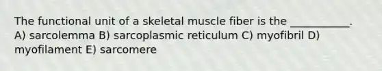 The functional unit of a skeletal muscle fiber is the ___________. A) sarcolemma B) sarcoplasmic reticulum C) myofibril D) myofilament E) sarcomere