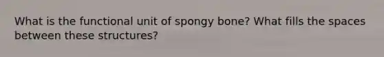 What is the functional unit of spongy bone? What fills the spaces between these structures?