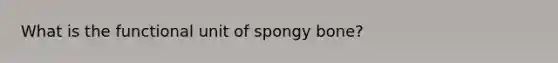 What is the functional unit of spongy bone?