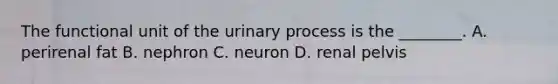 The functional unit of the urinary process is the​ ________. A. perirenal fat B. nephron C. neuron D. renal pelvis