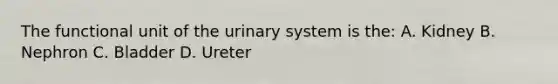 The functional unit of the urinary system is the: A. Kidney B. Nephron C. Bladder D. Ureter